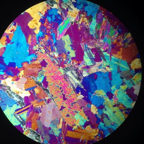 maryevalyn: Tourmaline thin section!! #mineralogy #beauty #truelove #nerdalert #geology (at Earth Sc