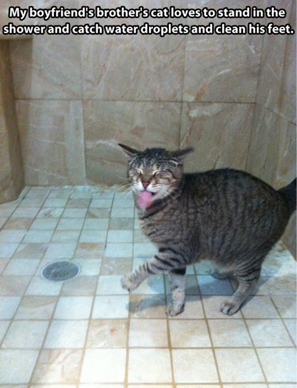 the-absolute-funniest-posts:  This post has been featured on a 1000notes.com blog.