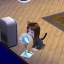 sreyaya