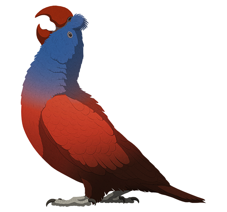 Island Weirdness #25 – The Broad-Billed ParrotThe dodo wasn’t the only unique bird to evolve on Mauritius. While about eight other endemic bird species still survive today, there were at least twice that many before the arrival of humans in the late...