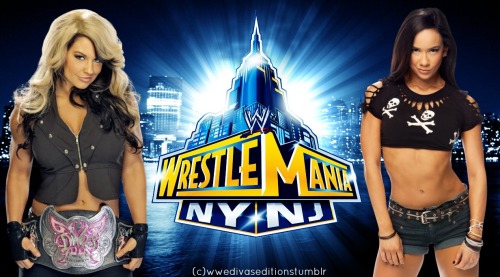 Porn photo wwedivaseditions:  I hope this match takes