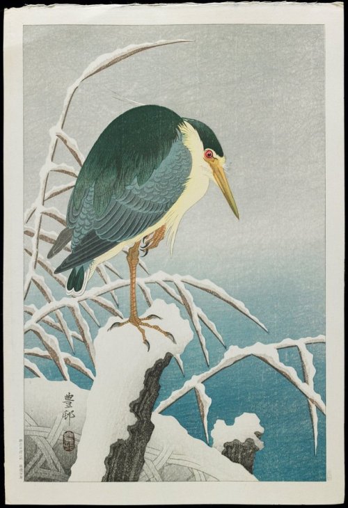 fujiwara57:“Black crowned Night Heron in Snow“ deOhara Koson 小原古邨 (1877 - 1945).