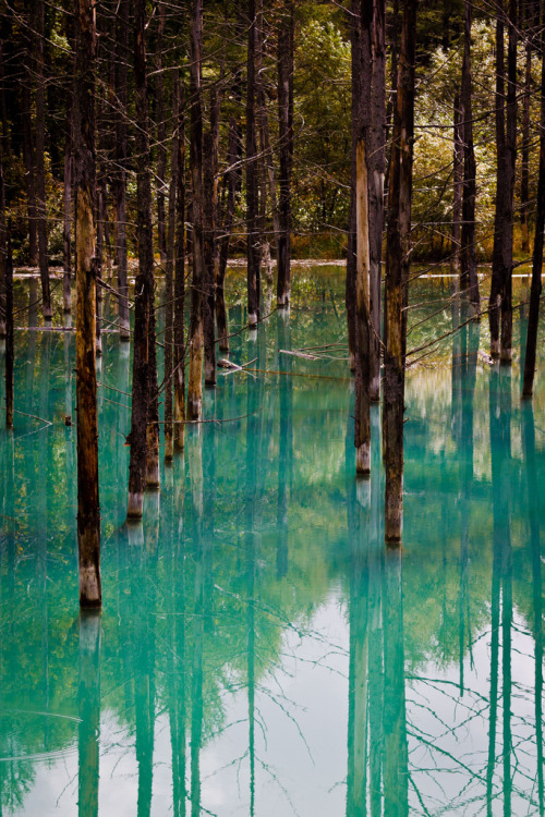 rorschachx:Shirogane blue lake - Hokkaido, Japan | image by Kin Chan I Photographer