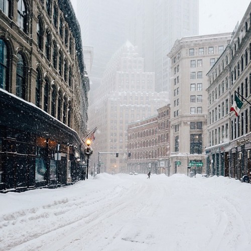 melodyandviolence:Boston ( January 2015- Juno) by brad romano