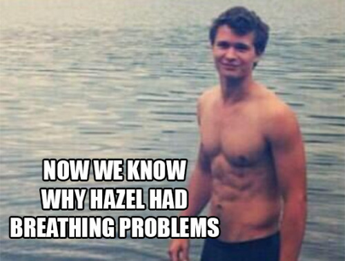 teendotcom:10 Jokes Only Ansel Elgort Fans Will AppreciateDivergent and The Fault in Our Stars fans too, but we’re assuming that goes without saying.