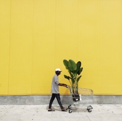 arthoe666:  IKEA trips