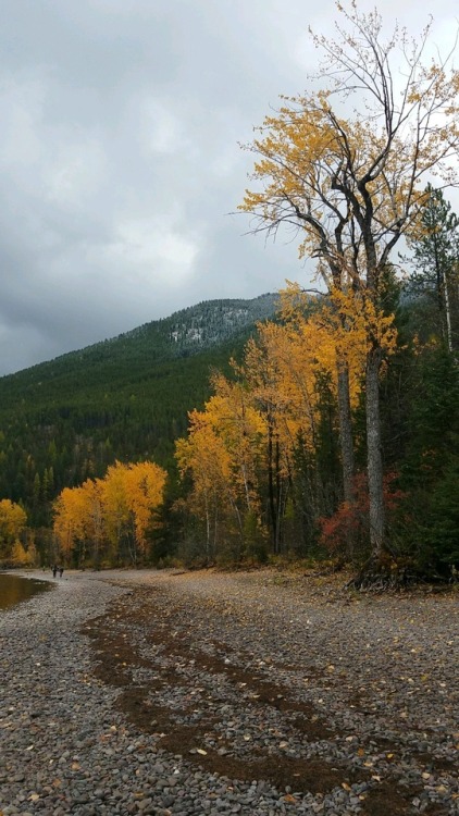 hufflepuffrave:we went up to glacier this weekend and it was cold and cloudy and beautiful