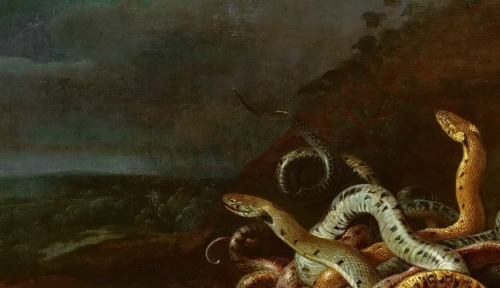 blackpaint20:Peter Paul Rubens, #Medusa (details), c.1618