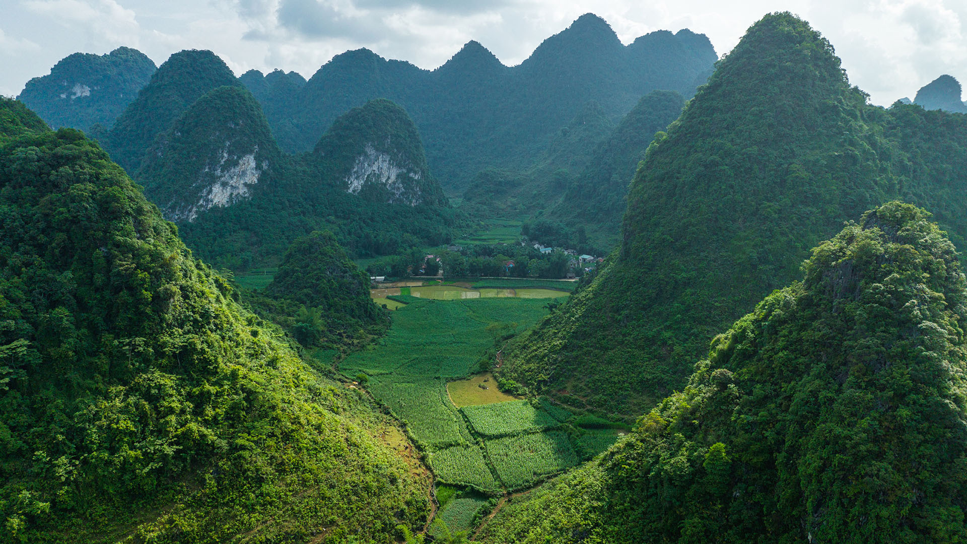 Mountains And Rice Fields In Cao Bang Province Spotlight Photos