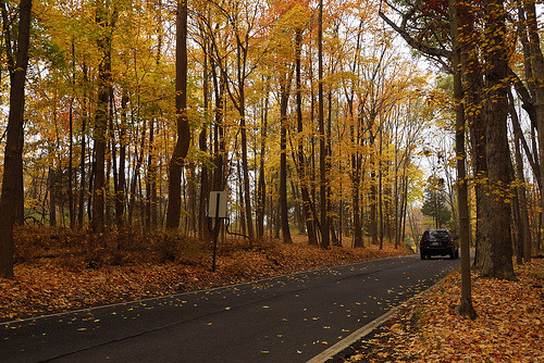 october-days:  _DSC5207 by Caomu Shen on flickr 