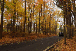 october-days:  _DSC5207 by Caomu Shen on