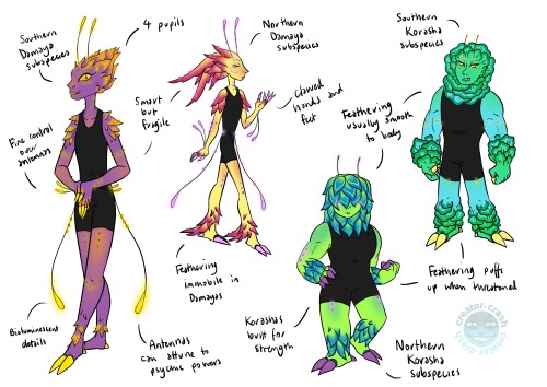  The Lashunta Sub-subspecies! Their styles come in ‘mean faerie’ or 'walking cabbage&rsq