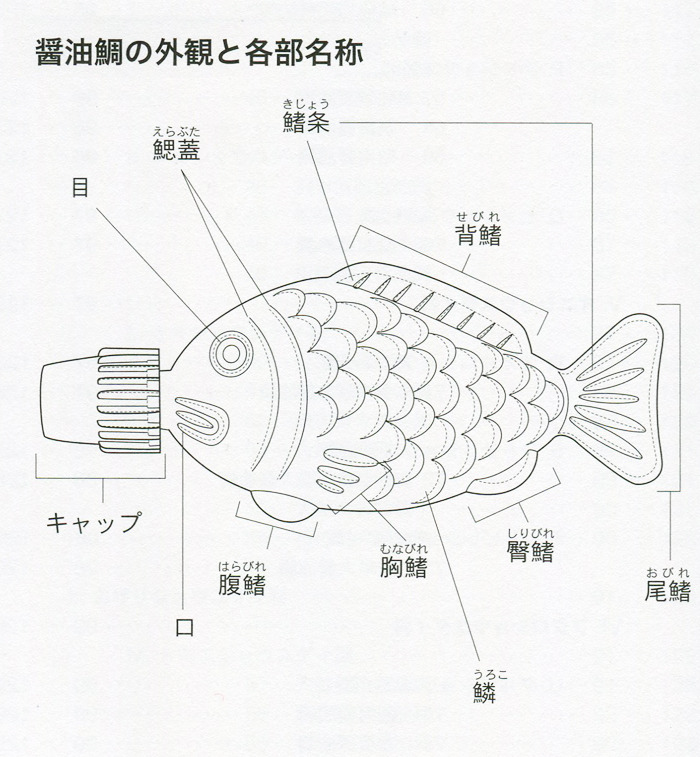 ggiizzmmoo:  醤油鯛の外観と各部名称 「醤油鯛」沢田佳久（ASTRA）冒頭部分より抜粋