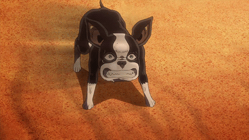williamzeppeli:  Iggy