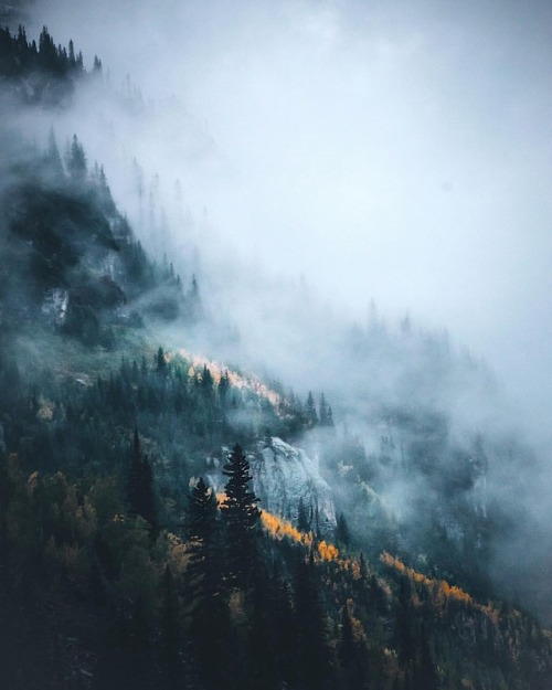 XXX rustic-bones:  Fog 🤤 (at Maroon Bells) photo