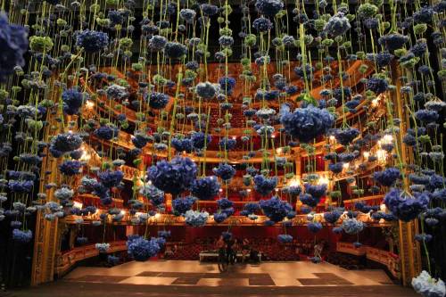 Hanging gardens by Rebecca Louise Law