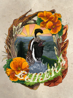 eatsleepdraw:  Part of my ongoing series featuring state birds, flowers, and mottos. So far I’m 10% done! To follow this series and more of my artwork, please refer to my art tumblr