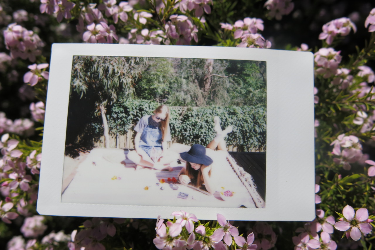 k-itteh:  bliss-berries:  fhizzling:  flihrty:   gypsy ☆ indie   ☆ indie
