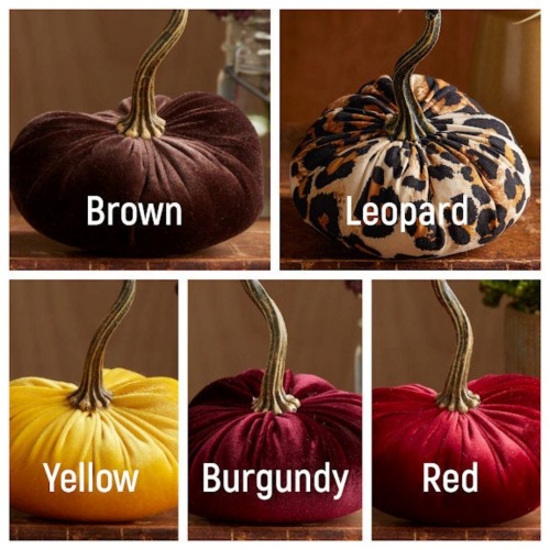 sosuperawesome: Velvet Pumpkins Michelle Rutta on Etsy See our #Etsy or #Pumpkin tags