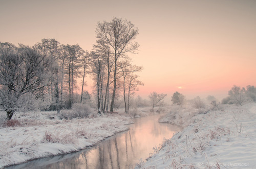 magic-spelldust:Snowy Pastel Winter Scenes by Katarzyna Gritzmann