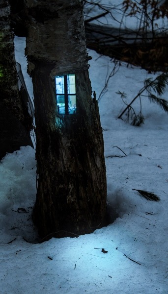 latimes:odditiesoflife:Lighted Fairy WoodhousesBoston-based freelance artist Daniel Barreto combined