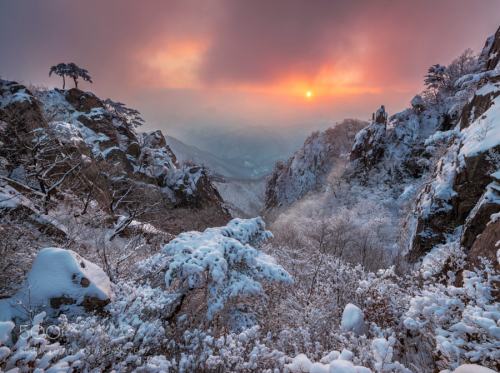 Snowy V valley by jaeyoun