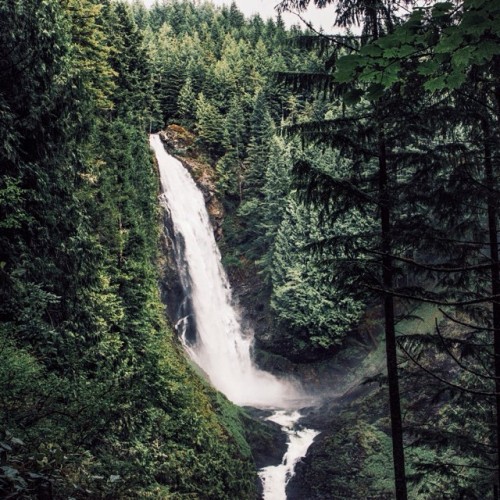 delta-breezes:  Griffin Lamb 