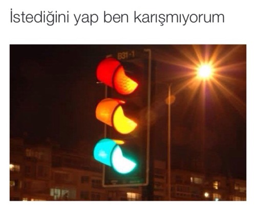 papatyadantacyapankiz:  trip atarken ben sfksdfjdhgkdfjgsdg 