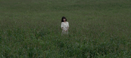 pilsuks:꽃갈피 둘 teaser 