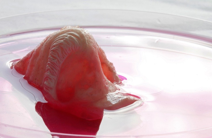 Building human body parts  Alex Seifalian’s lab at University College London is