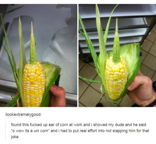 The Best of Tumblr