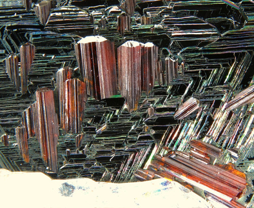 Rutile on Hematite with Quartz - Cavradi, Grischun, Switzerland