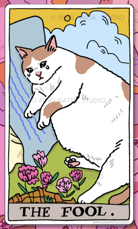 catsbeaversandducks:Tarot Cats Chonky Goods by Ping Hatta Studio