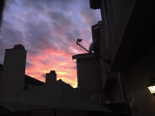 danger:I love the sky // follow my Instagram for my sunset pics