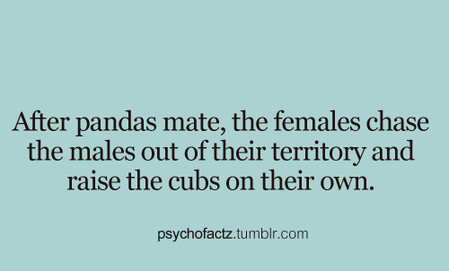 psychofactz:  More Facts on Psychofacts :)