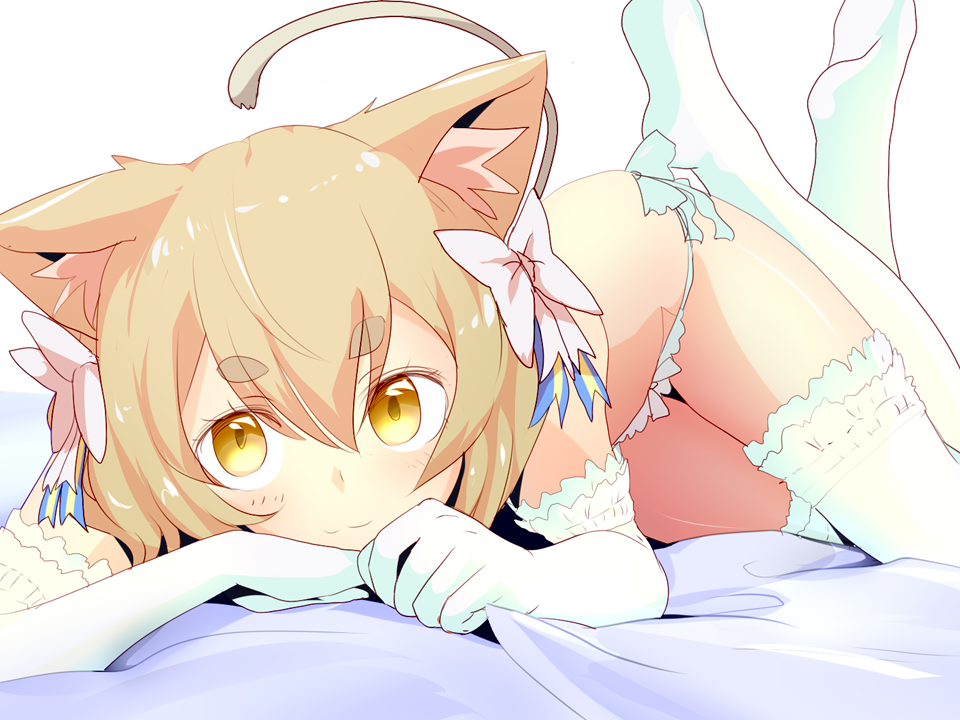 akingofcats:  Re:zero.