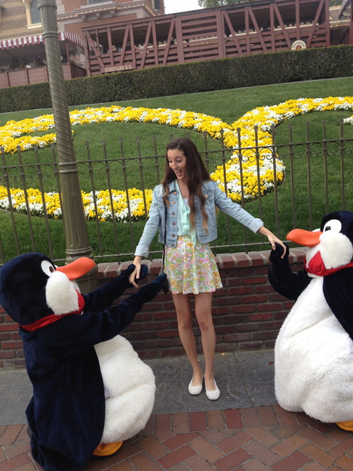 XXX disneyplace:  One time the penguins proposed photo