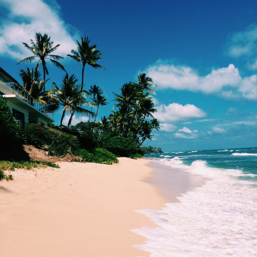 the-ocean-paradise: sunkissed & sandy