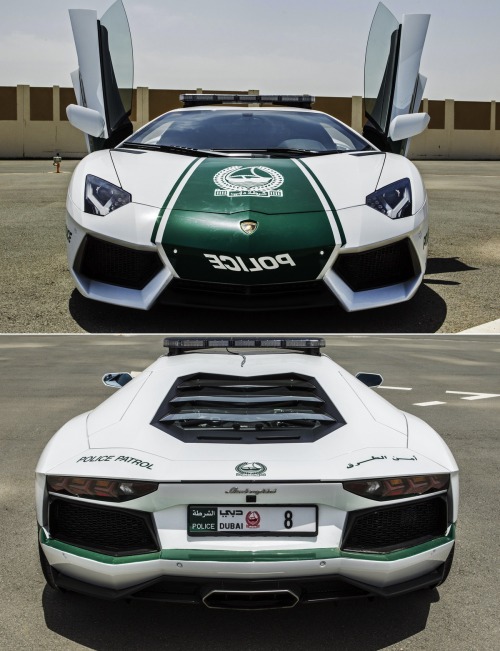 Dubai Police Women On Duty in Lamborghinis and Other Million Dollar Dream Cars..Read the Story on Hi