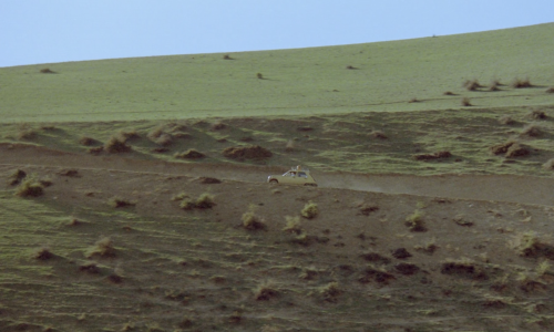 realsports:Life, and Nothing More… (1992), dir. Abbas Kiarostami.