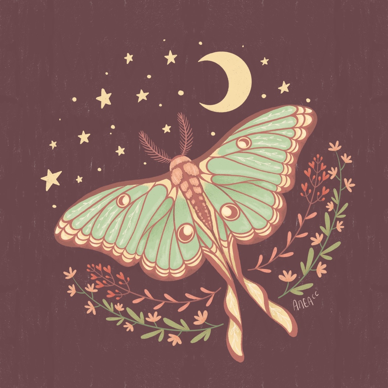 Cosmic Luna Moth Art Print in 2021 Moth art print Moth art Hippie art HD  phone wallpaper  Pxfuel