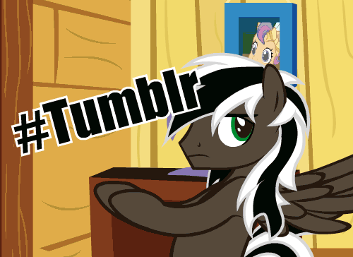 ask-that-brown-pony:  Tumblr in a shellnut  >w<