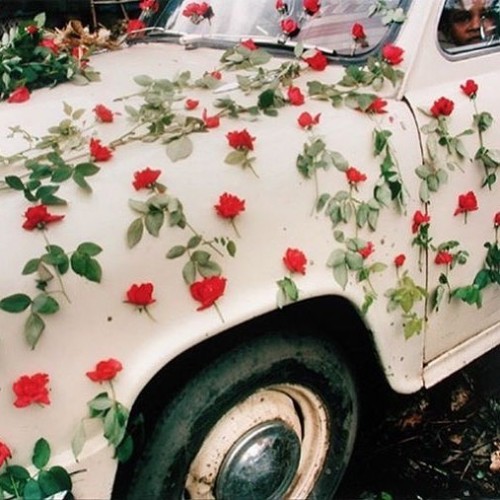 What could be better than a VW Beetle covered in red ? #followme @gingersnapsnyc (at New York, New Y