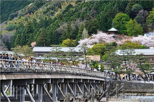 Kyoto ARASHIYAMA by photoevecolon