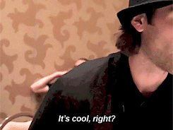 themegalosaurus:  Jared, Thomas and the mini Padafedora (video/tweet) 