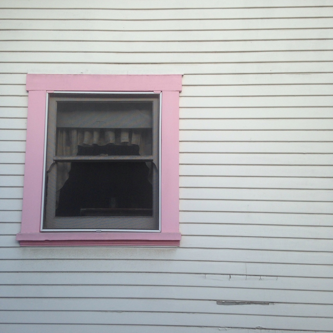 ssadderall:  the colors in catalina are so nice