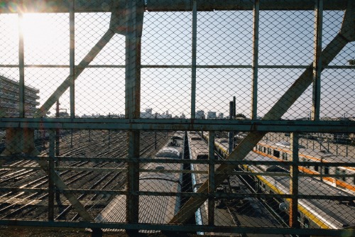 三鷹駅の周辺をぶらぶら散歩。いい街。 Walked around Mitaka station. It’s a nice city.