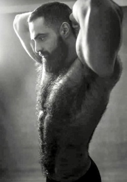 papillon52:beardedbearbud2:Where can we find this superb Man? SUPER BEL HOMME VELU !