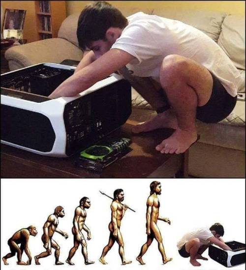 totallygamerlife