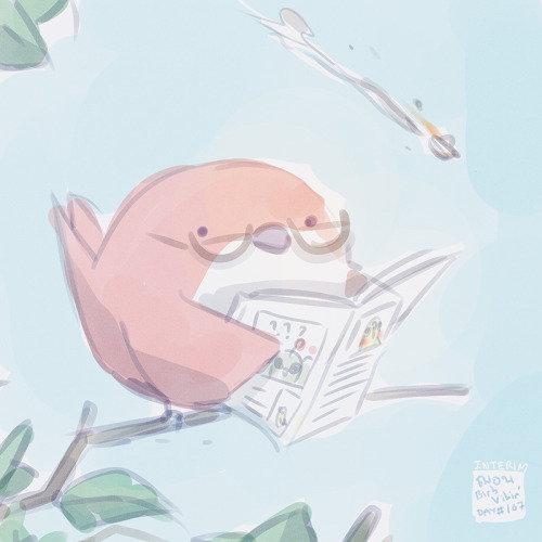 Birb Vibin’ Day 103-108